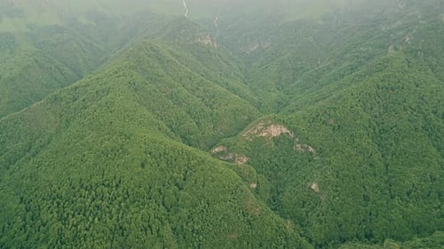 Aerial view of the mountains and forests