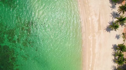 The coconut tree-lined sandy beach with its stunning turquoise waters
