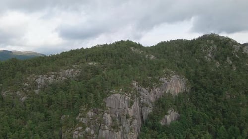 Dense Trees And Vegetation In Forest On Mountain Cliff. - aerial