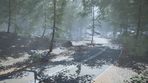 Serene Winding Road Through a Dense Forest Under Soft Morning Light