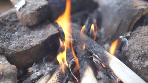 fire burning firewood in the stone stove in the hut