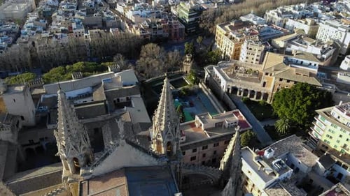 Zumbido inclinándose sobre la catedral de Palma de Mallorca.