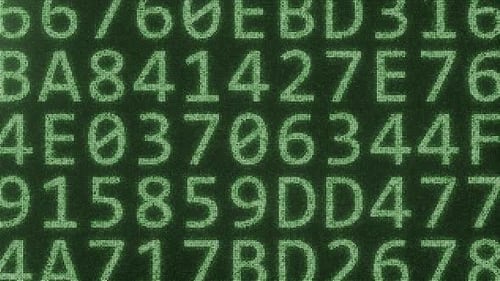 ACCESS Text Consisting of Many Symbols on Computer Monitor