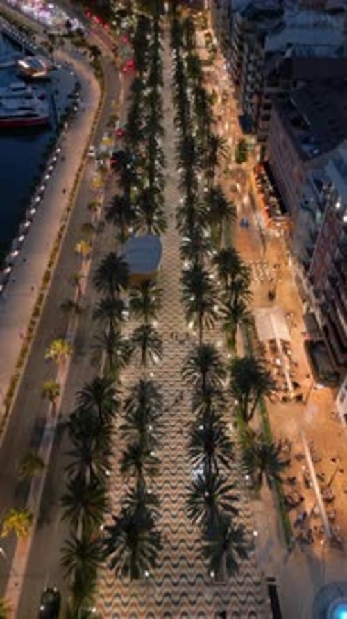 Aerial drone view of people walking on a promenade lined with palm trees near the beach in Alicante,