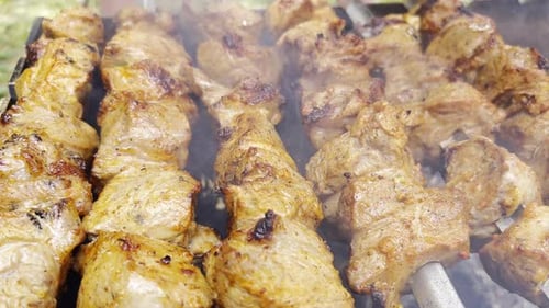 Roasting Pork Meat Smoked Kebabs on an Open Fire Close Up
