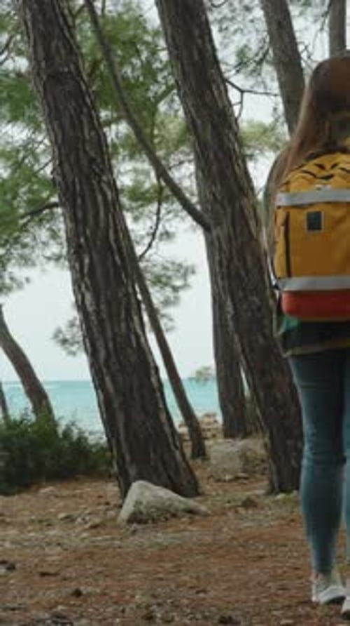 Vertical video. Turquoise water in a sea bay. A female tourist walks through a pine forest among.