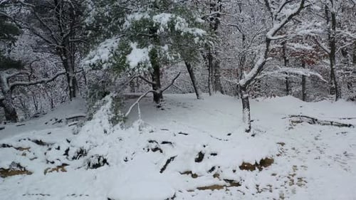 Land covered with snow in thick frozen forest, Aerial backward ascending view. Starved rock state pa