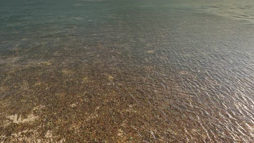 Clear Water Ripples Over Shallow Lake Bed with Pebbles