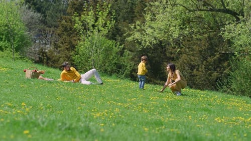 Family Picnic on a Sunny Spring Day