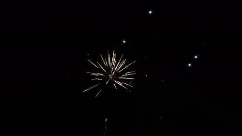 Vibrant Fireworks Bursting in Dark Night Sky