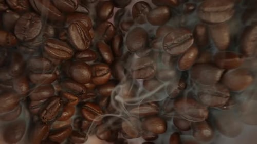 Steaming Coffee Beans Close Up