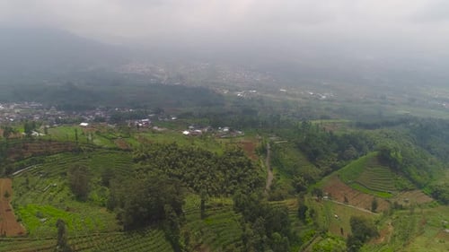Aerial View of Rolling Green Hills and Farmland