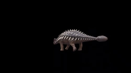Dinosaur Ankylosaurus Walk Loop Back View