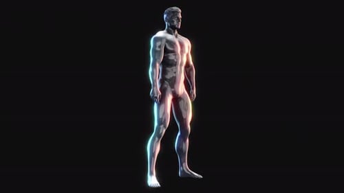 Futuristic 3D Human Exercise Animation