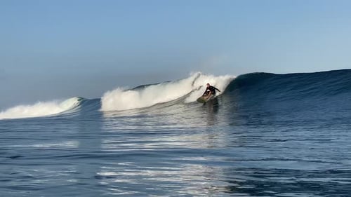Surfer Rides a Wave at the Ocean