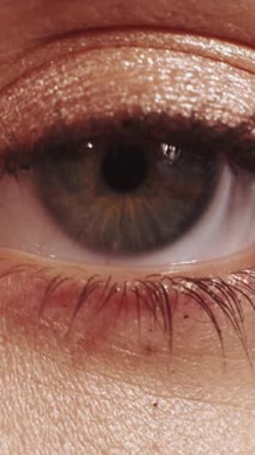 Vertical Eye Health Vision Care Woman Iris Pupil