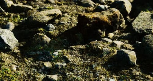 Realistic Rocky Ground Slow Motion Background