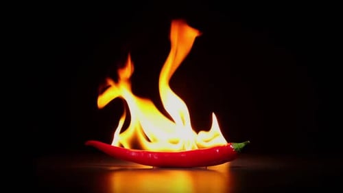 Hot red chili peppers on fire on black background close-up, slow motion, spicy food concept