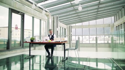 Mature Architect With Laptop And Model Of A House In Office, Working.