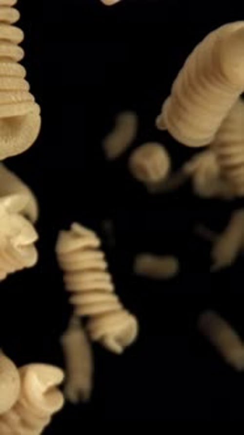 Fusili Pasta Falls Down Filmed on a Highspeed Camera at 1000 Fps