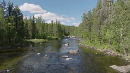 Serene rivers flowing through Swedish wilderness