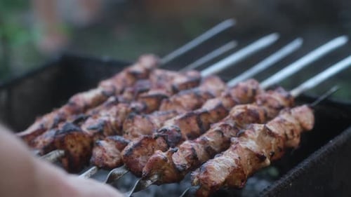 Grilled Meat Skewers Fresh Off the Charcoal Grill