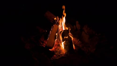 Campfire Burning Brightly at Night