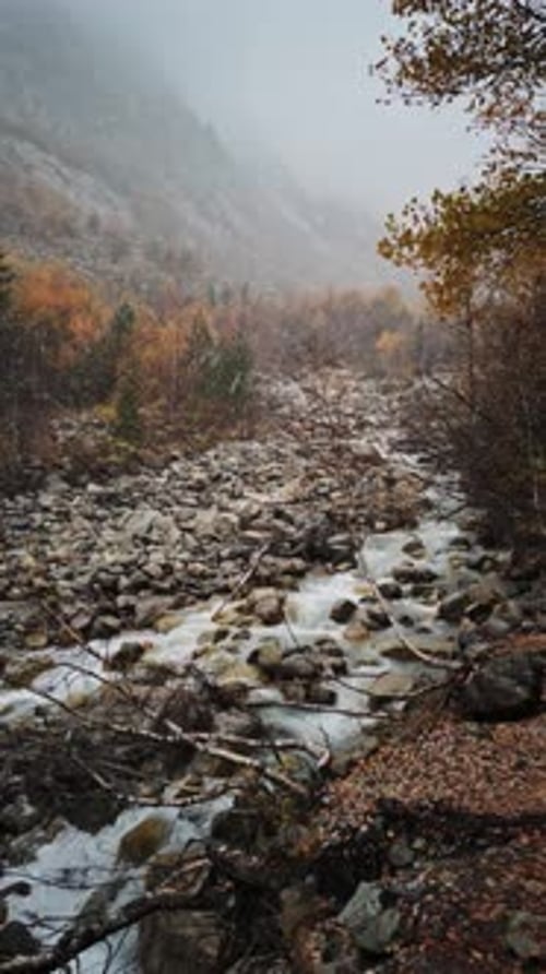 Idyllic Landscape of Mountain River Flowing in a Gorge Through Stones Filmed