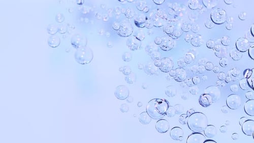 Abstract bubbles loop animation. Transparent glossy spheres or balls, water drops