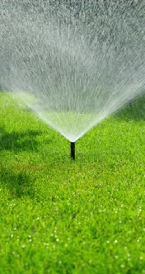 Multiple Sprinklers Irrigating a Green Lawn on a Bright Sunny Day