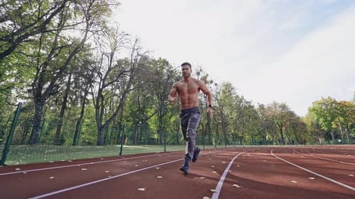 Handsome man training on the field stadium.