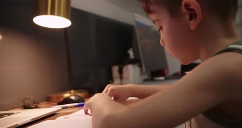 Child Concentrating on Homework at Desk Indoors