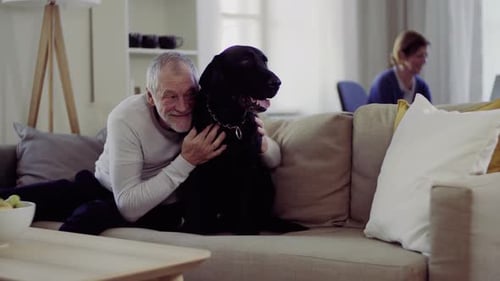 Senior Man Hugging Dog on Sofa at Home