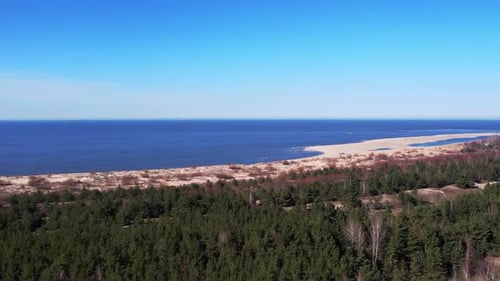 Forest Landscape AERIAL View Drone with Sandy Beach of Baltic Sea in Poland Green Forest Nature