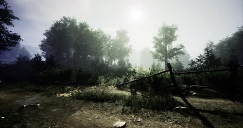 Misty Forest Landscape with Sunlight Filtering Through Trees at Dawn