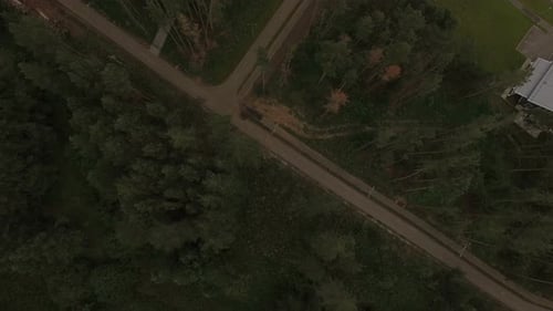 Aerial Panoramic View Road and Huge Pine Forest
