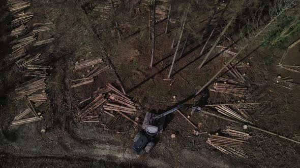Top down view of Logging Equipment in Action at the Forest - processing ...