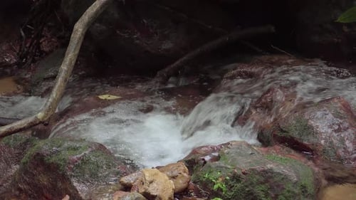 Mountain river in tropical rainforest. Rapid waterfall in creek. Peaceful stream flows over rocks an