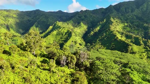 Aerial view of lush green mountains, United States.