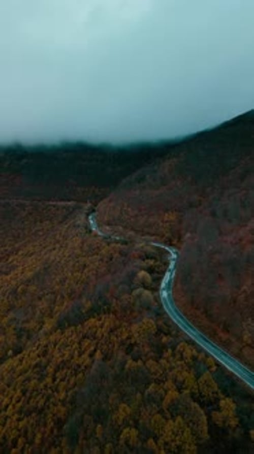 Autumn season in natural environment