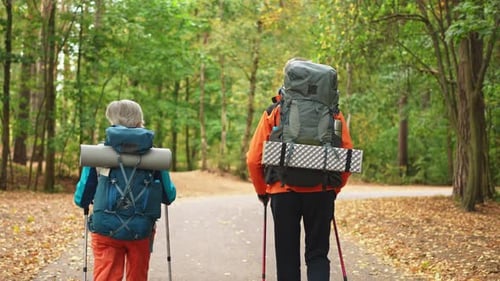 Hiking Tourism Adventure Senior Couple Man Woman Enjoying Outdoor Recreation Hiking in Forest Happy