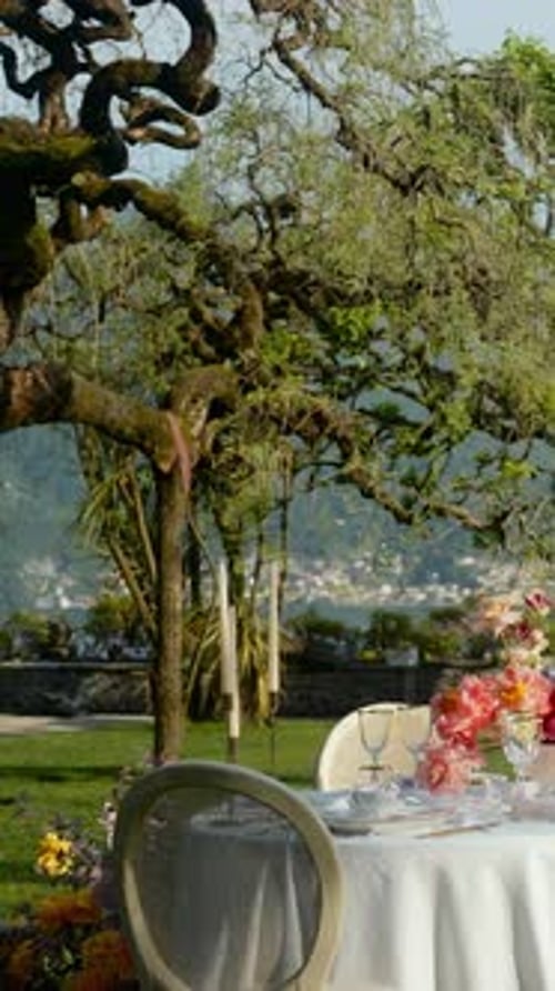 Elegant Wedding Table Setting with Twisted Tree