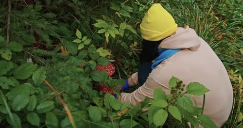 Person Picking Red Mushroom with White Spots