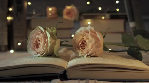 Roses and Open Book with Fairy Lights