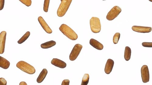 Pães de nozes que caem sem parar em branco