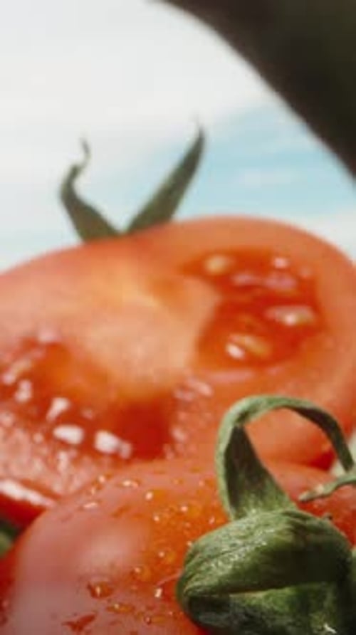 Vegetables on the table, the camera slides between sliced tomatoes, cucumbers and peppers, a macro