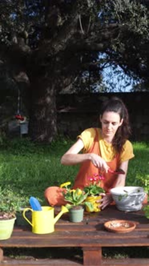 Woman planting plants in pots in her home garden