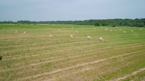 Aerial View of Hay Bales on the Green Field Beautiful Rural Landscape