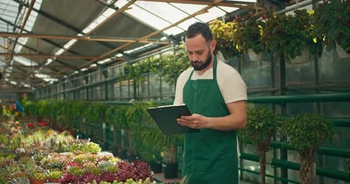 Gardener Inspecting Plants in Lush Greenhouse