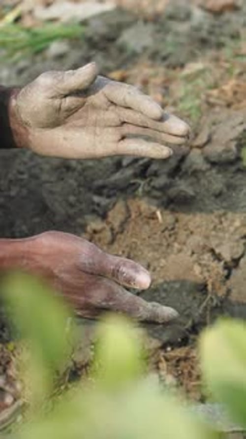 Hands Working with Soil in a Rural Setting